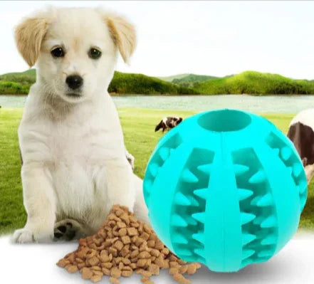 White puppy sitting on grass beside kibble and a blue chew ball dog toy outdoors.