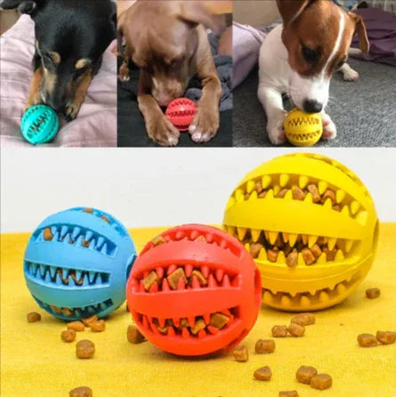 Dogs playing with colorful treat-dispensing rubber balls, blue, red, and yellow toys with kibble